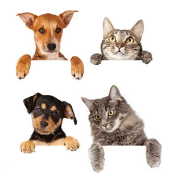 Živé Mačka, Pes 3D Nálepky | 4 Ks / Set, Kúpeľňa, Obývacia Izba, Chladnička Dekor, Zvierat, Samolepky, Umenie Nálepky na Steny P
